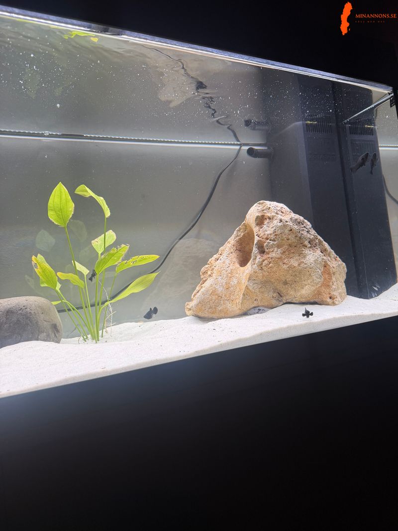180-l-akvarium