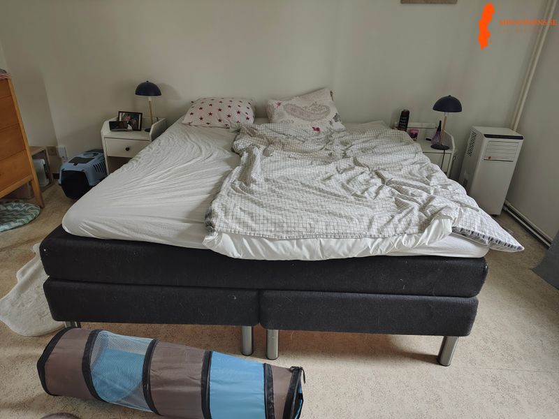 kontinentalsang-180x200-cm