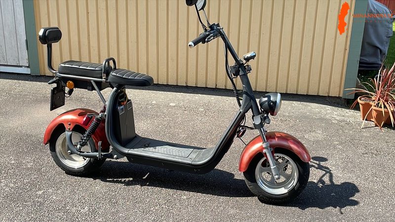 fatboj-elmoped