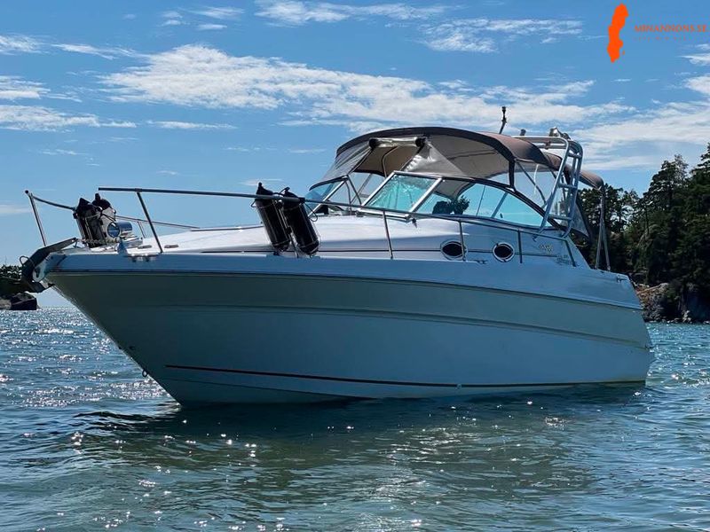 sea-ray-270-sundancer