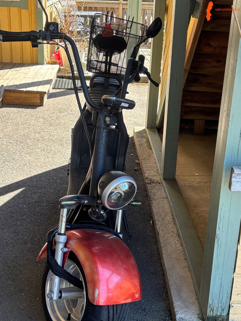fatboj-elmoped