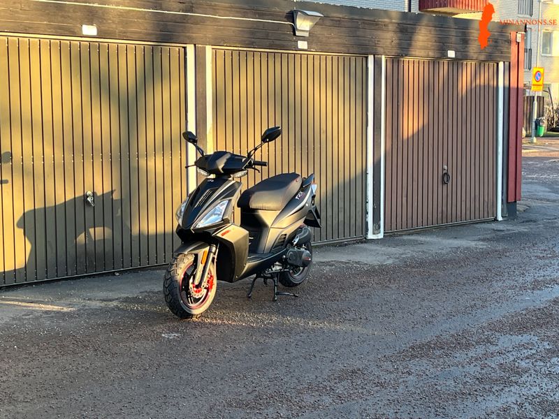 moped-t-rex-motocr