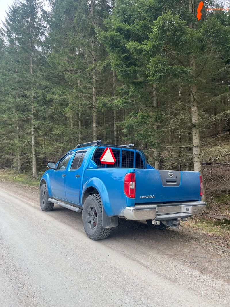 nissan-navara-d40