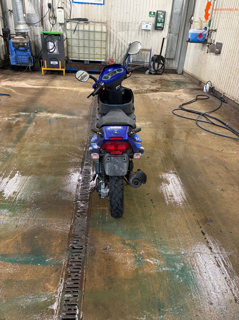 pgo-t-rex-klass-2-moped