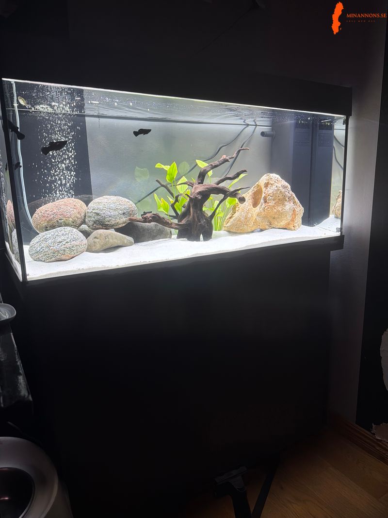 180-l-akvarium