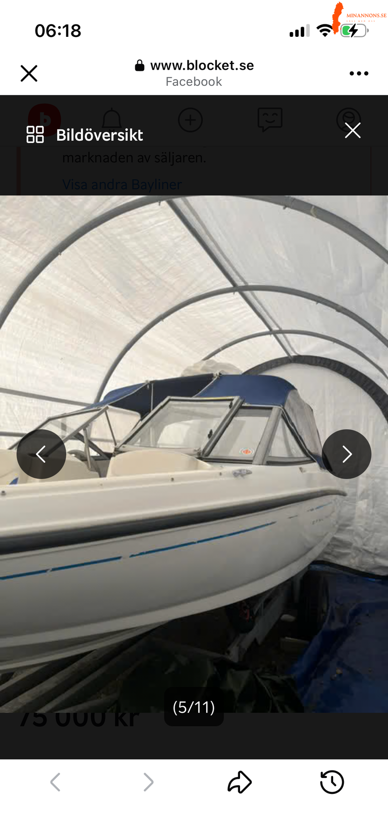 bayliner
