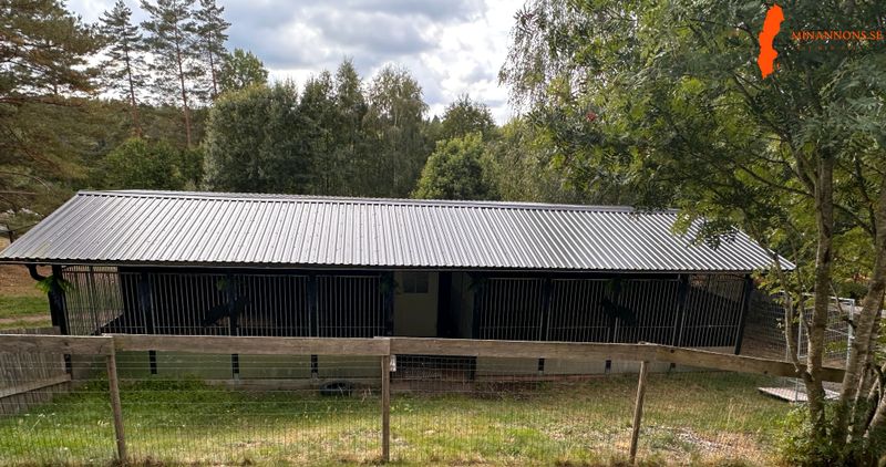 hundhusinredd-och-vinterbonad