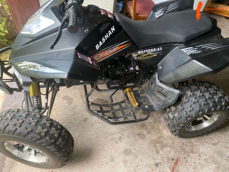 bashun250
