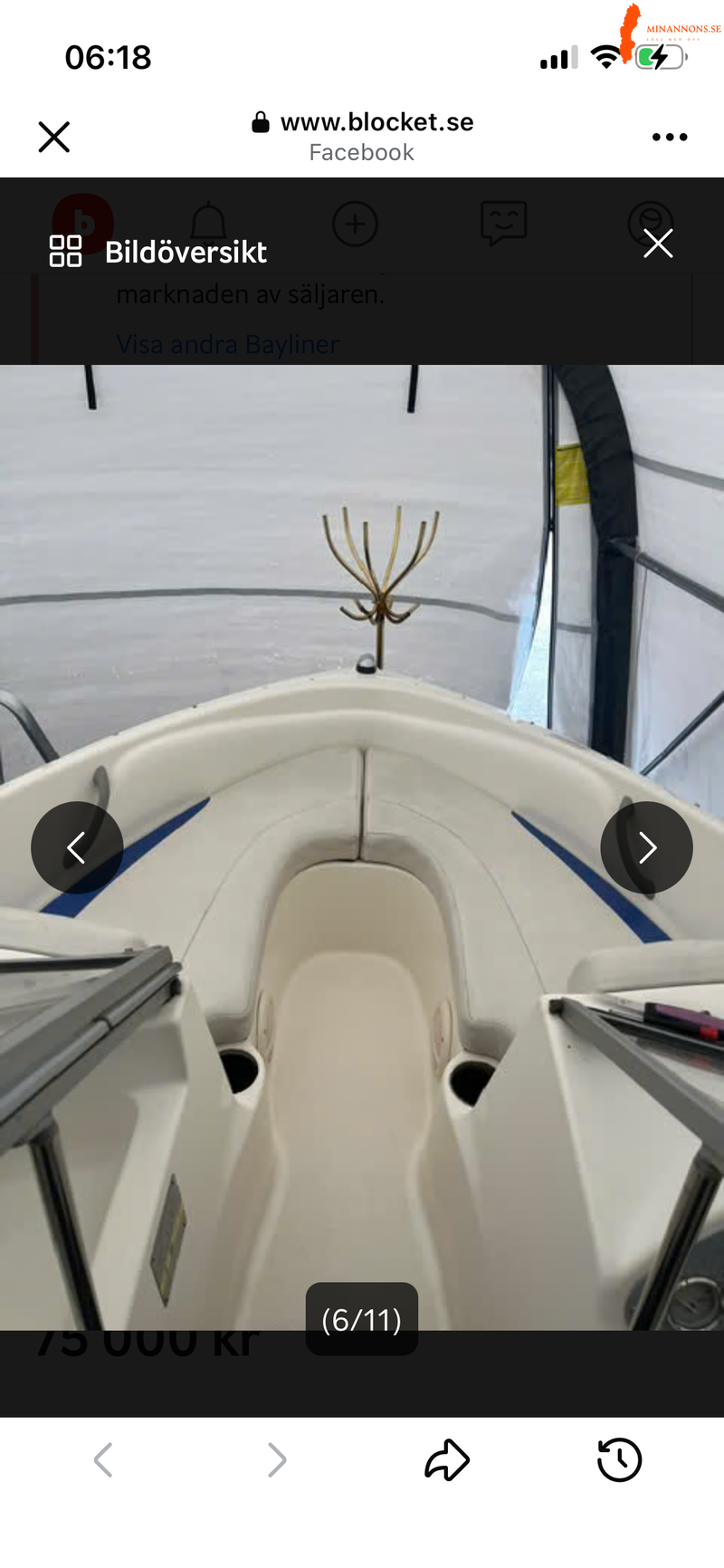 bayliner