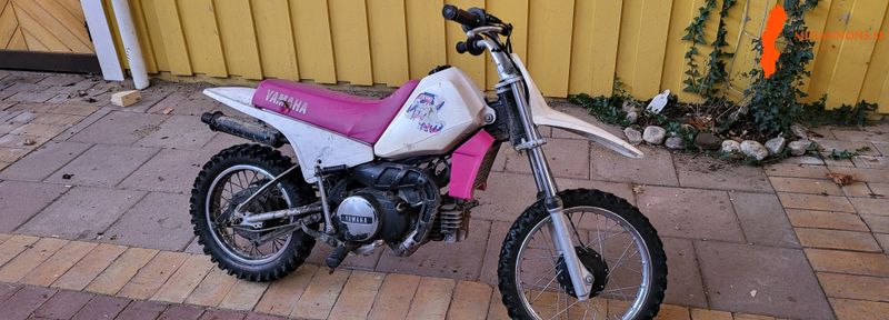 yamaha-pv80