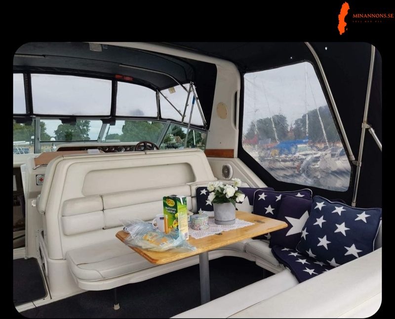 mycket-pakostad-sea-ray-sundancer-330