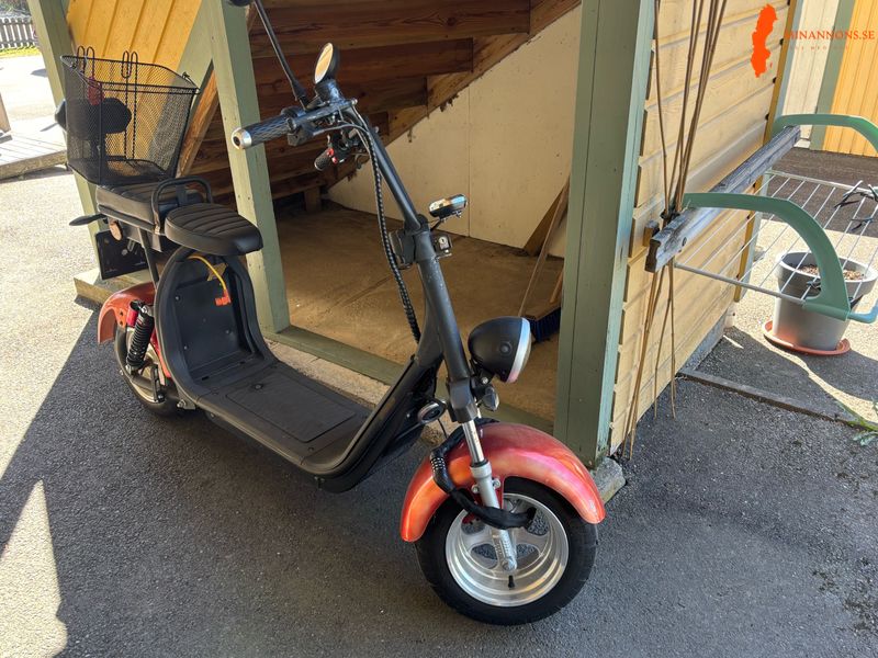 fatboj-elmoped