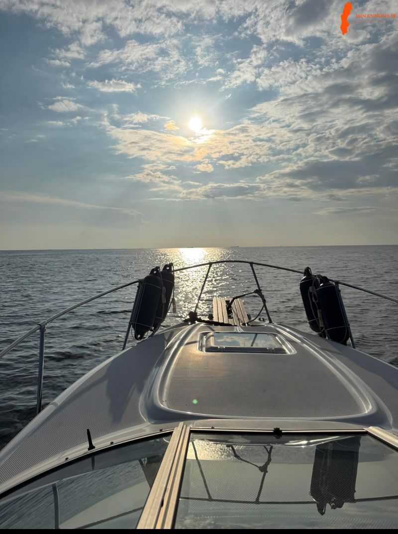 bayliner-ciera-daycruiser-245