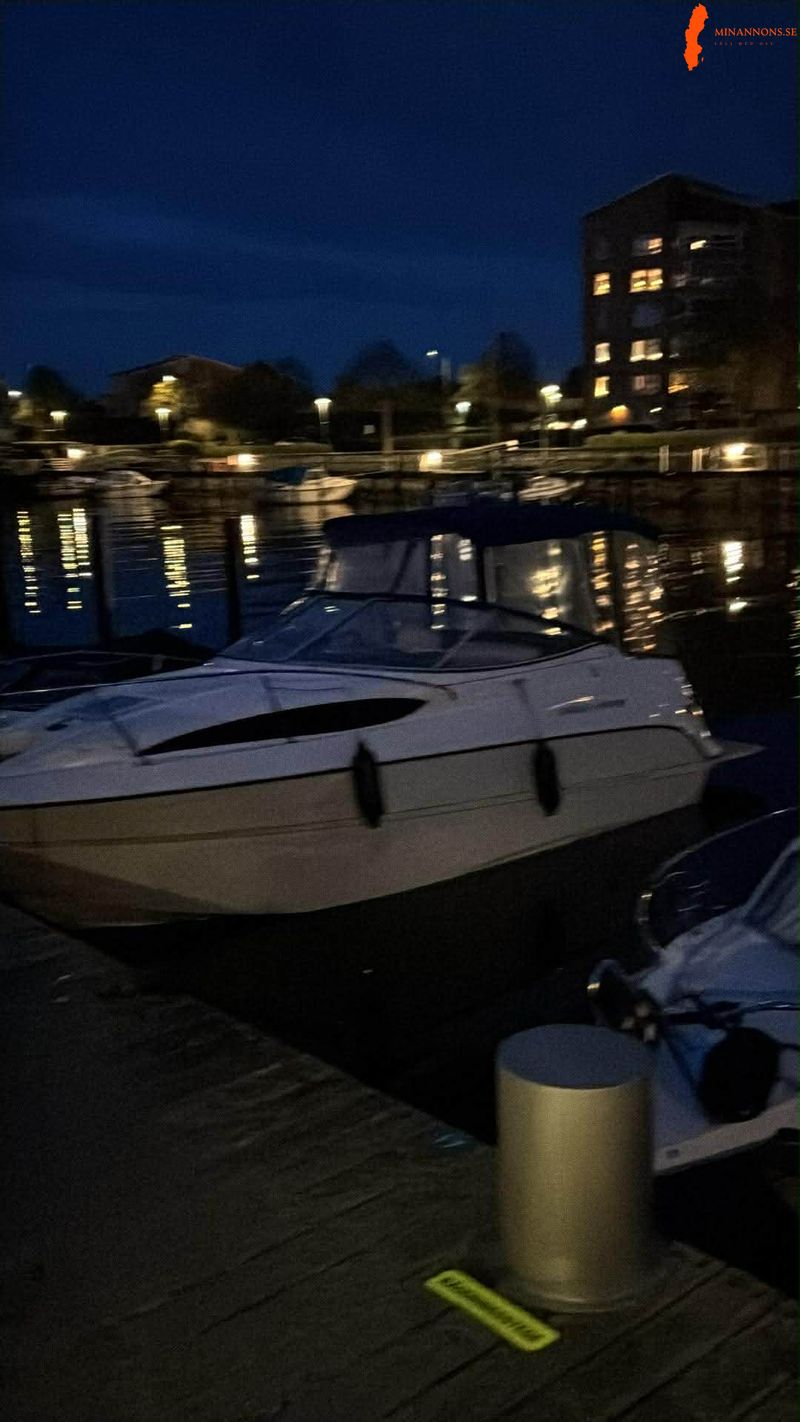 bayliner-ciera-sunbridge-245