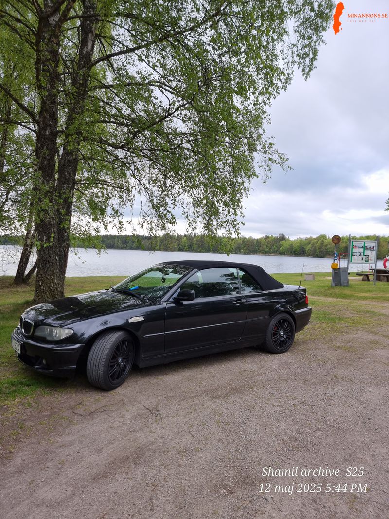 saljes-bmw-318-ci-cab