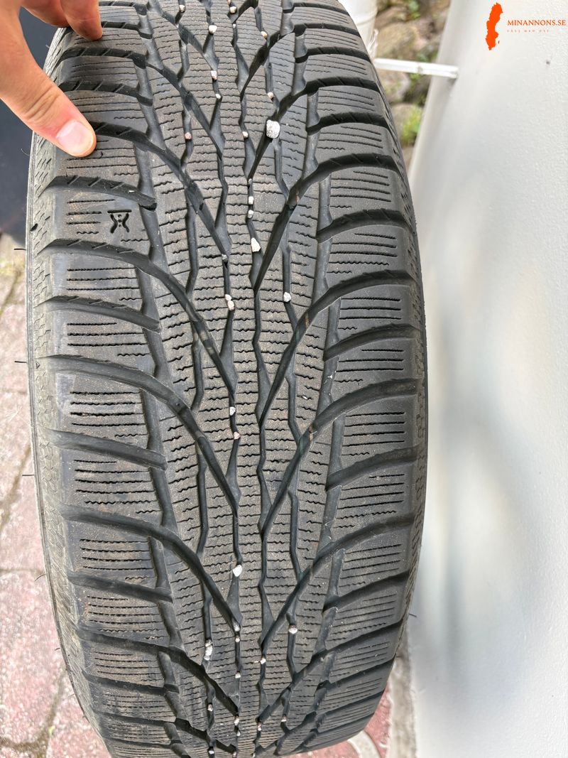 falgdack-21560r17-100t-ws51-ice-suv