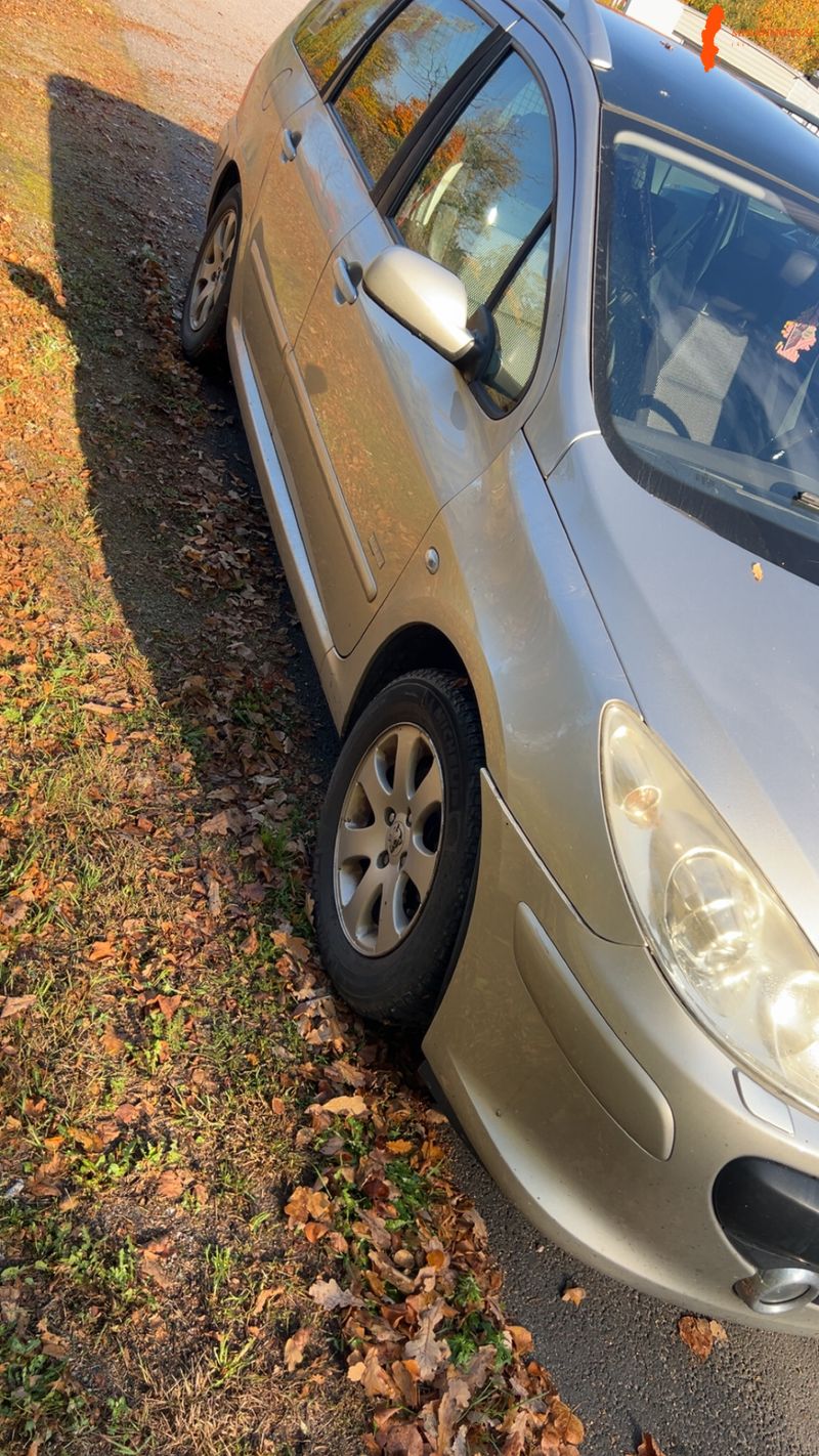 peugeot-peugeot-307-sw-16-biofl-sw-16-16v-bioflex