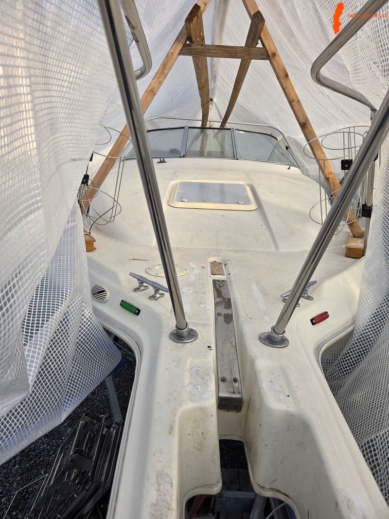 bayliner-2655-ciera-sunbridge