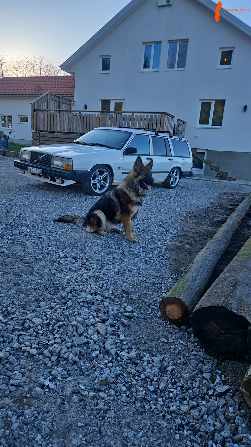 volvo-volvo-745-892-glt