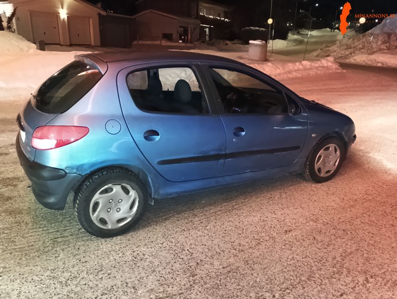 nybes-sparbossa-peugeot-206