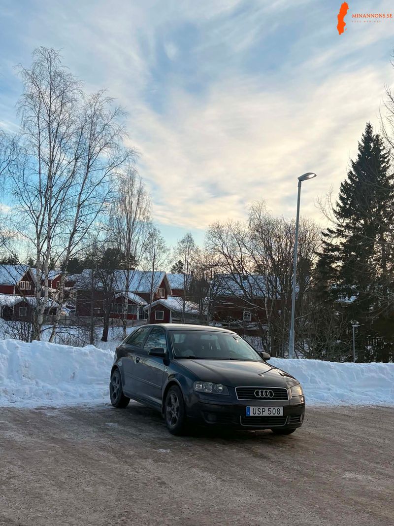 epa-audi-a3-2004