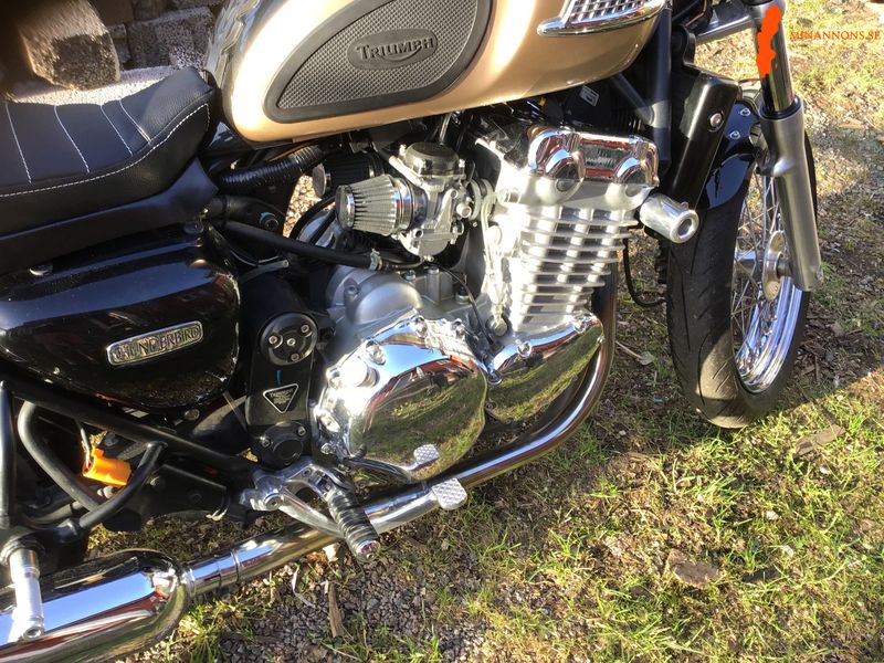 triumph-thunderbird-900