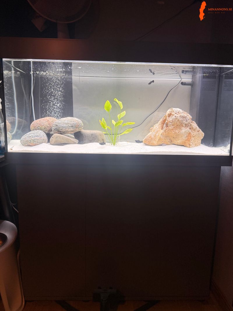 180-l-akvarium