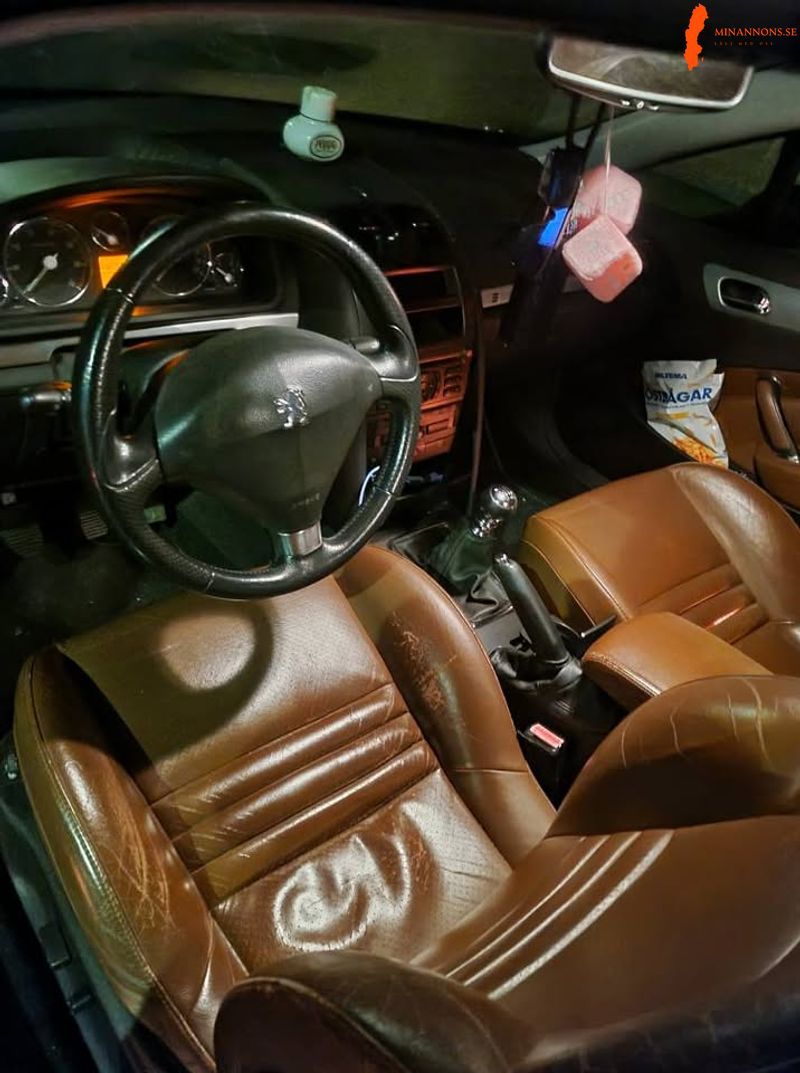 peugeot-407-coupe-bytes