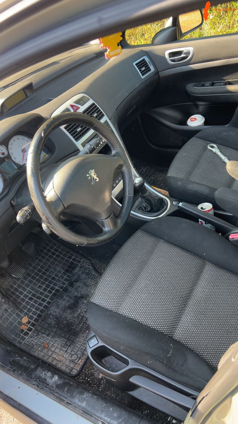 peugeot-peugeot-307-sw-16-biofl-sw-16-16v-bioflex
