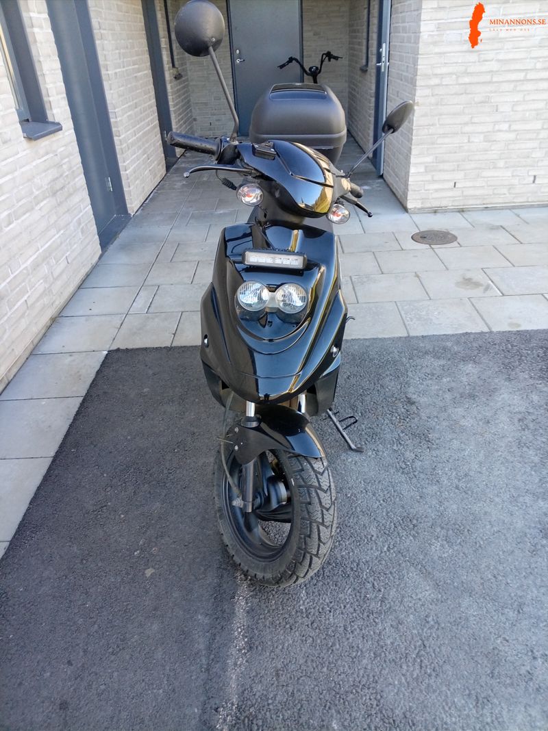 pgo-bigmax-2019