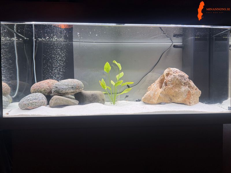 180-l-akvarium