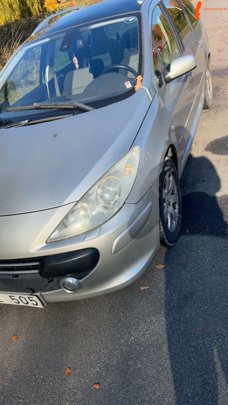 peugeot-peugeot-307-sw-16-biofl-sw-16-16v-bioflex
