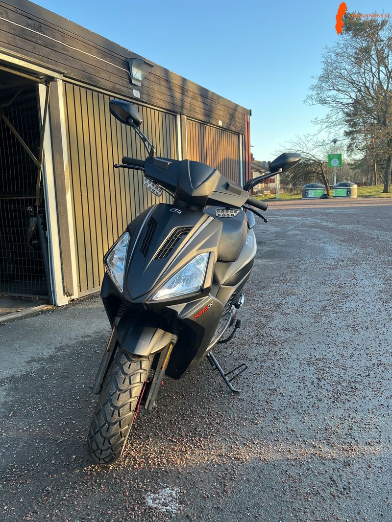moped-t-rex-motocr