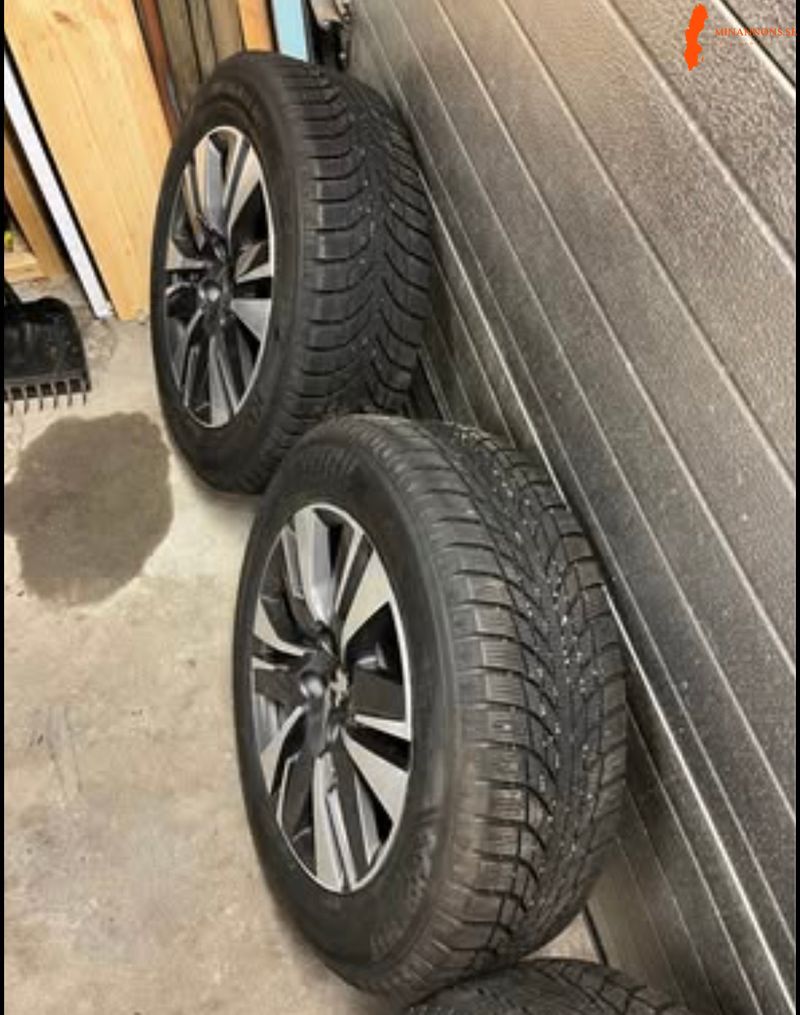 4-hjul-vinterdack-till-peugeot-208