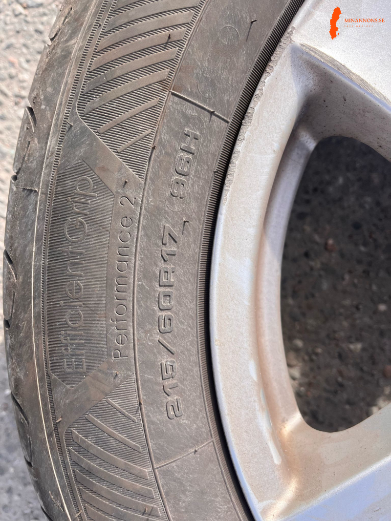 nissan-qashqai-sommardack-17-tum-bra-skick