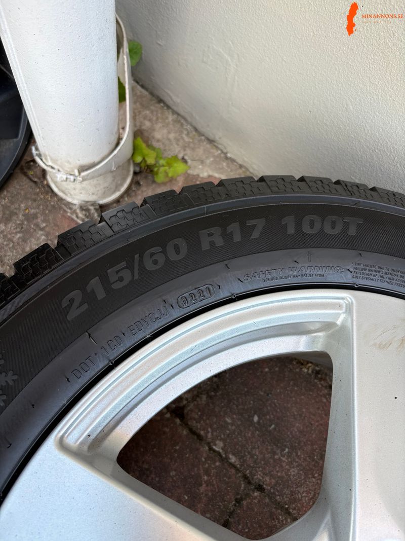 falgdack-21560r17-100t-ws51-ice-suv