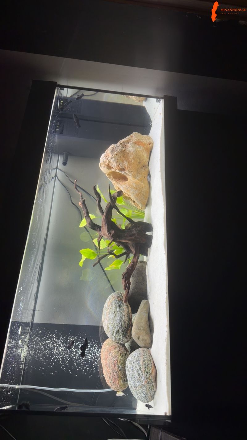 180-l-akvarium