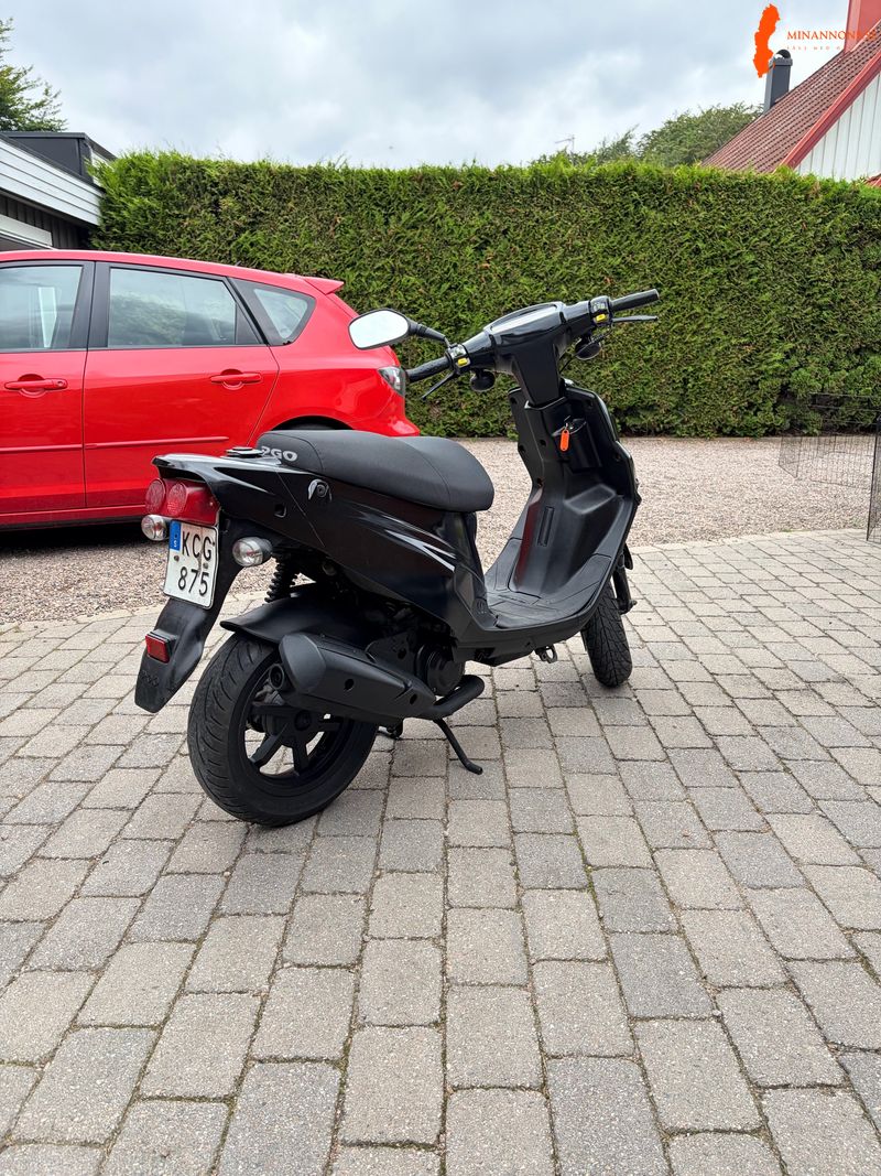 pgo-big-max-2015