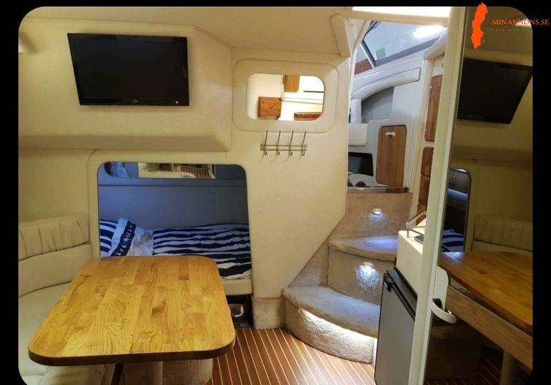 mycket-pakostad-sea-ray-sundancer-330