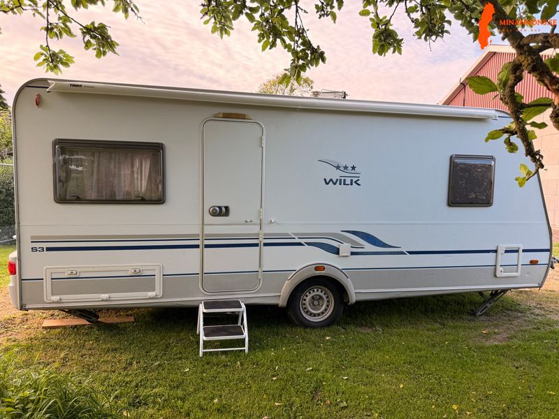 wilk-s3-490