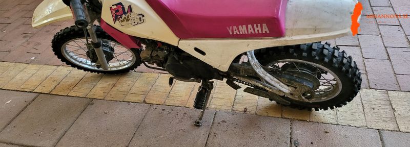 yamaha-pv80