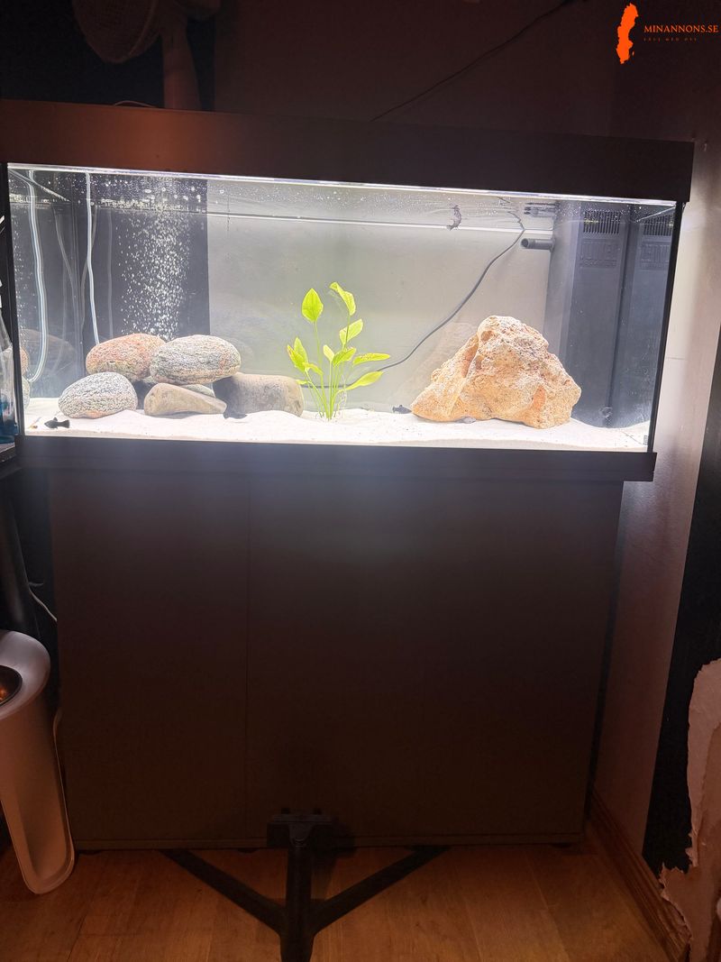 180-l-akvarium