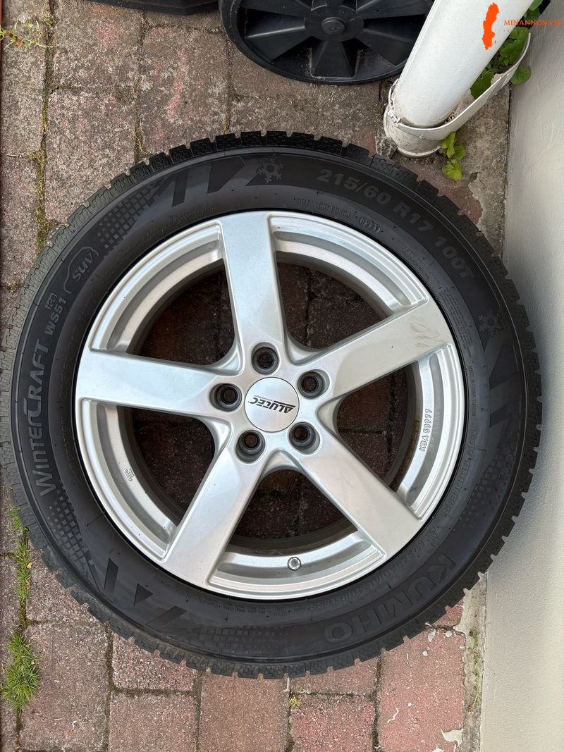 falgdack-21560r17-100t-ws51-ice-suv