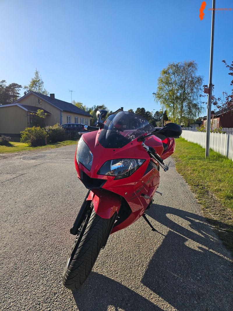 triumph-daytona-650
