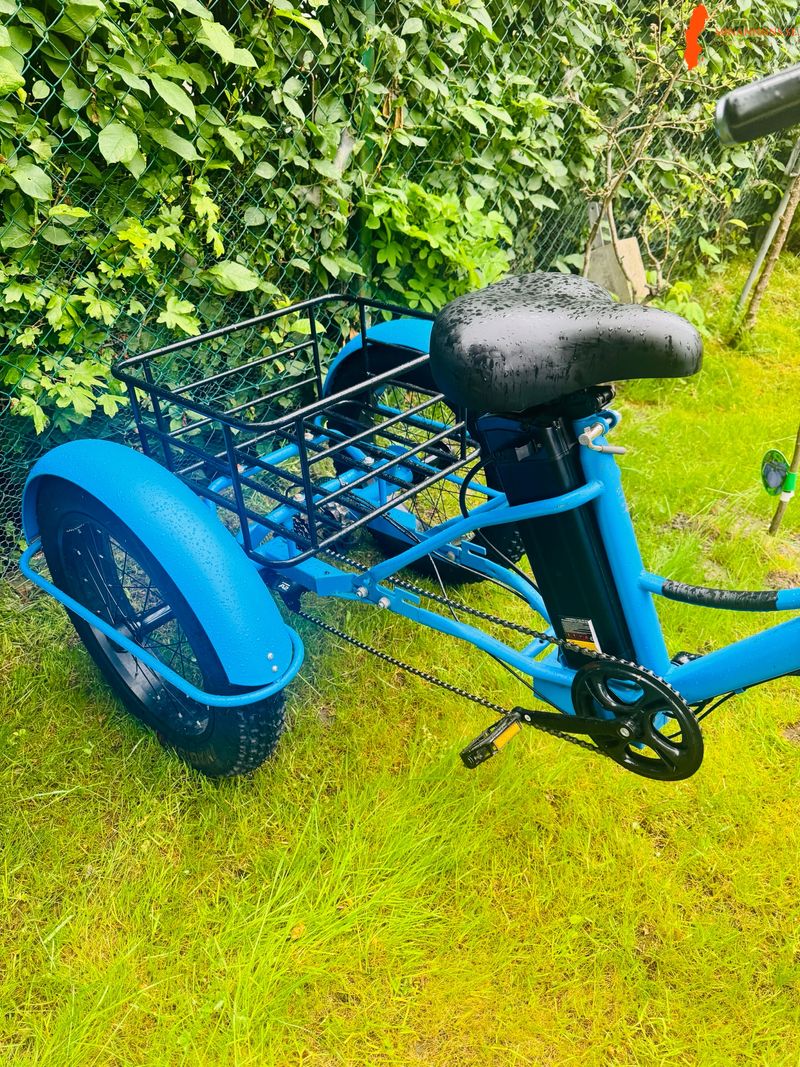 robust-el-trehjuling-fat-bike-24x40