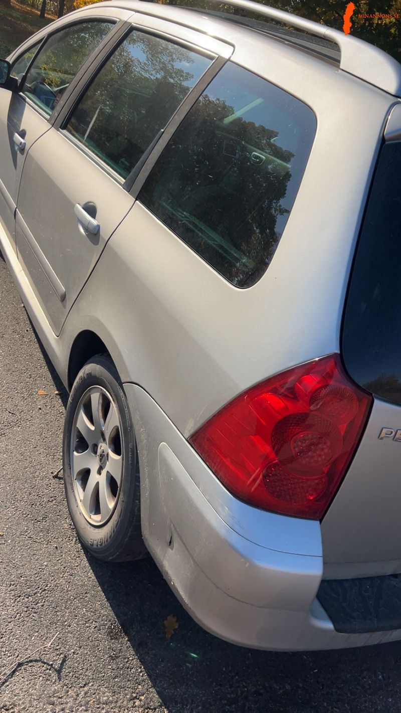 peugeot-peugeot-307-sw-16-biofl-sw-16-16v-bioflex