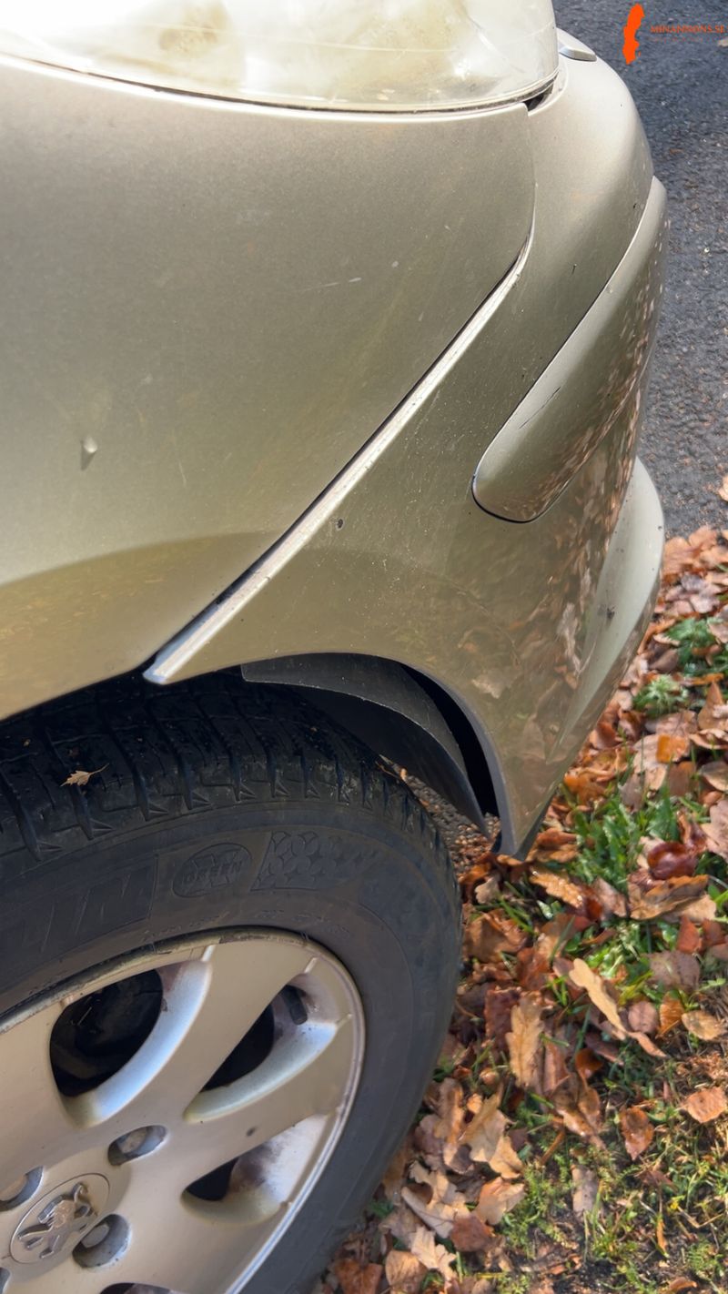 peugeot-peugeot-307-sw-16-biofl-sw-16-16v-bioflex