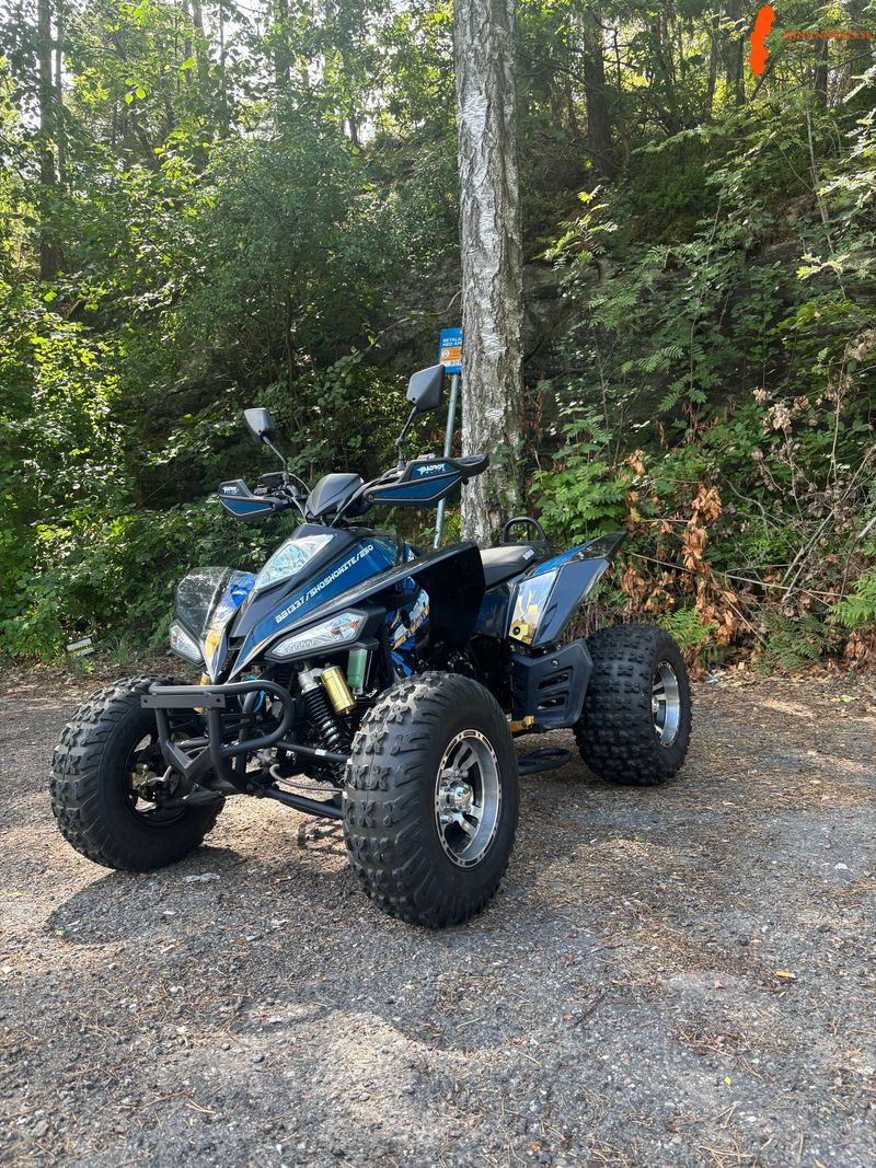 mc-registrerad-bashan-badboy-elite-250cc-vagreggad-fyrhjuling