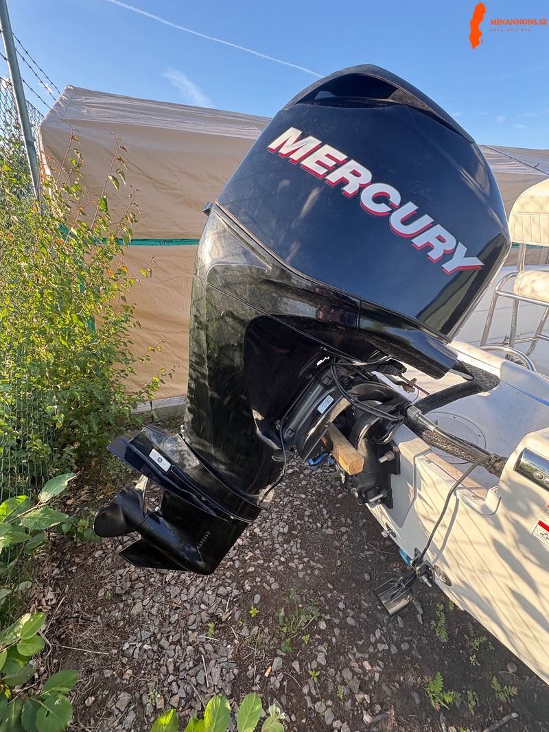 triumph-170ccmercury-efi-60hptikitrailer-80kmh-bromsad