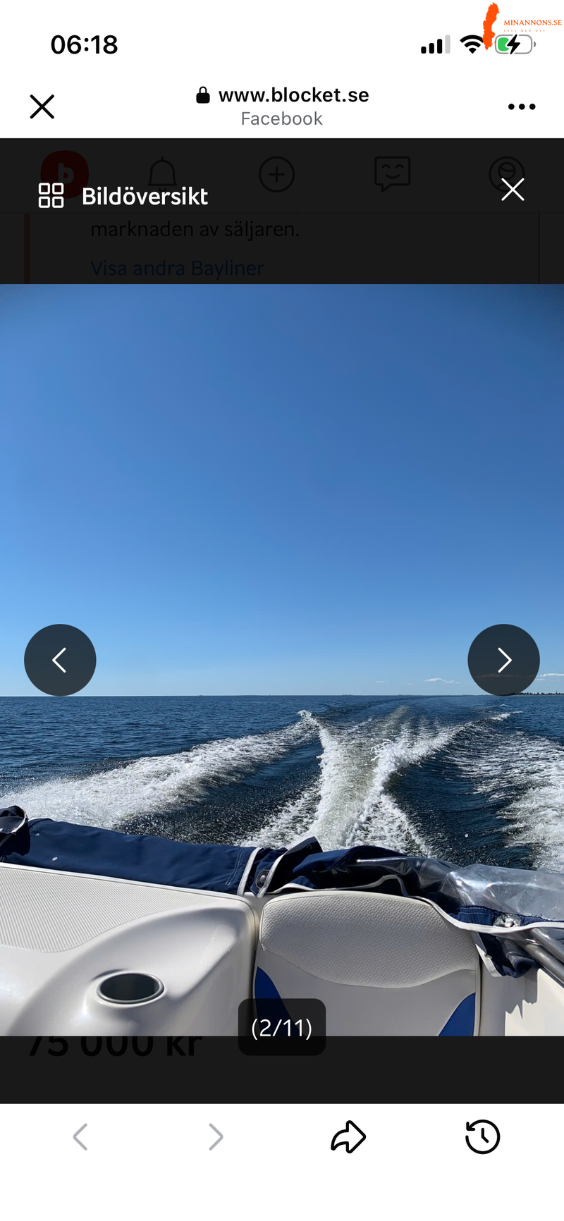 bayliner